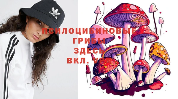 экстази Алексеевка