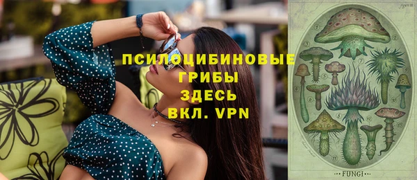 ГАЛЛЮЦИНОГЕННЫЕ ГРИБЫ Алексин