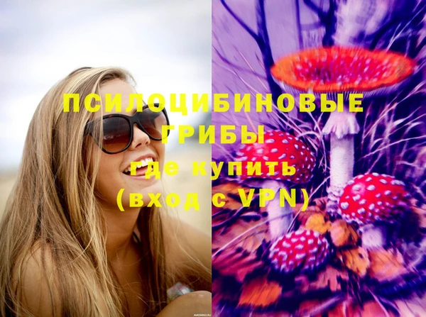 ГАЛЛЮЦИНОГЕННЫЕ ГРИБЫ Алексин