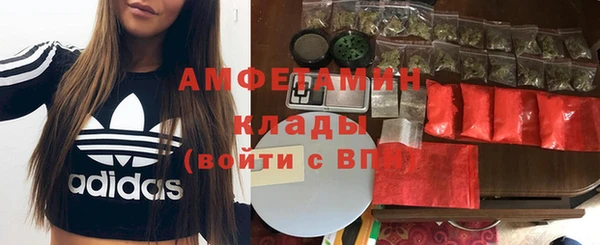 ГАЛЛЮЦИНОГЕННЫЕ ГРИБЫ Алексин