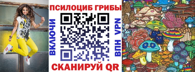 KRAKEN ТОР  Губкин  Псилоцибиновые грибы MAGIC MUSHROOMS 